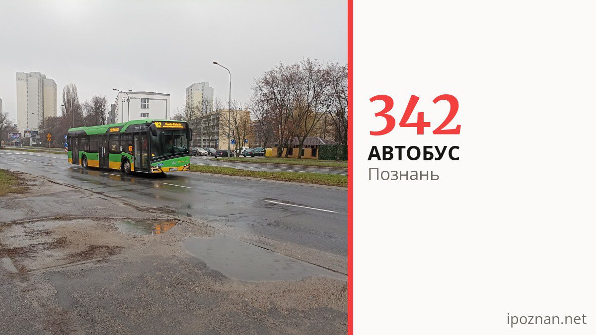 Автобус 342 у Познані