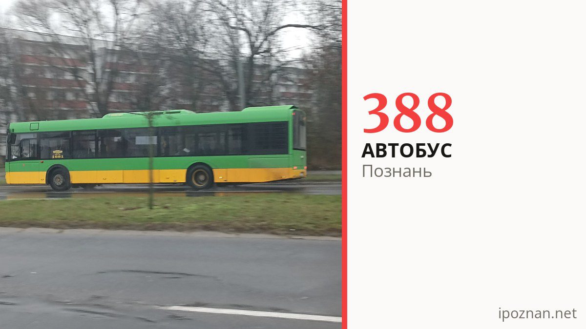 Автобус 388 у Познані
