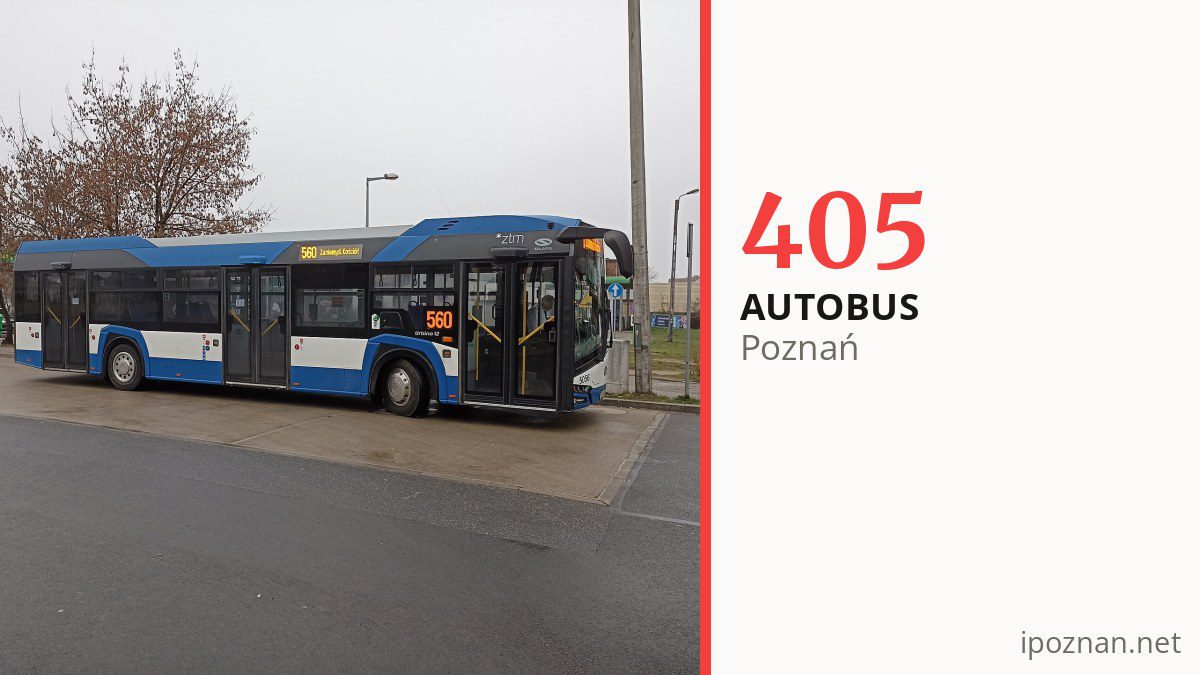 Autobus 405 w Poznaniu