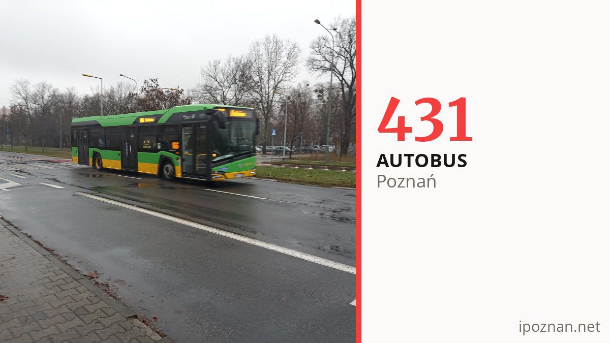 Autobus 431 w Poznaniu