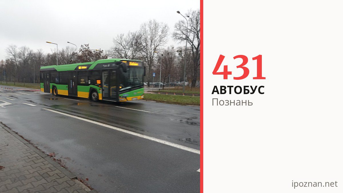 Автобус 431 в Познани