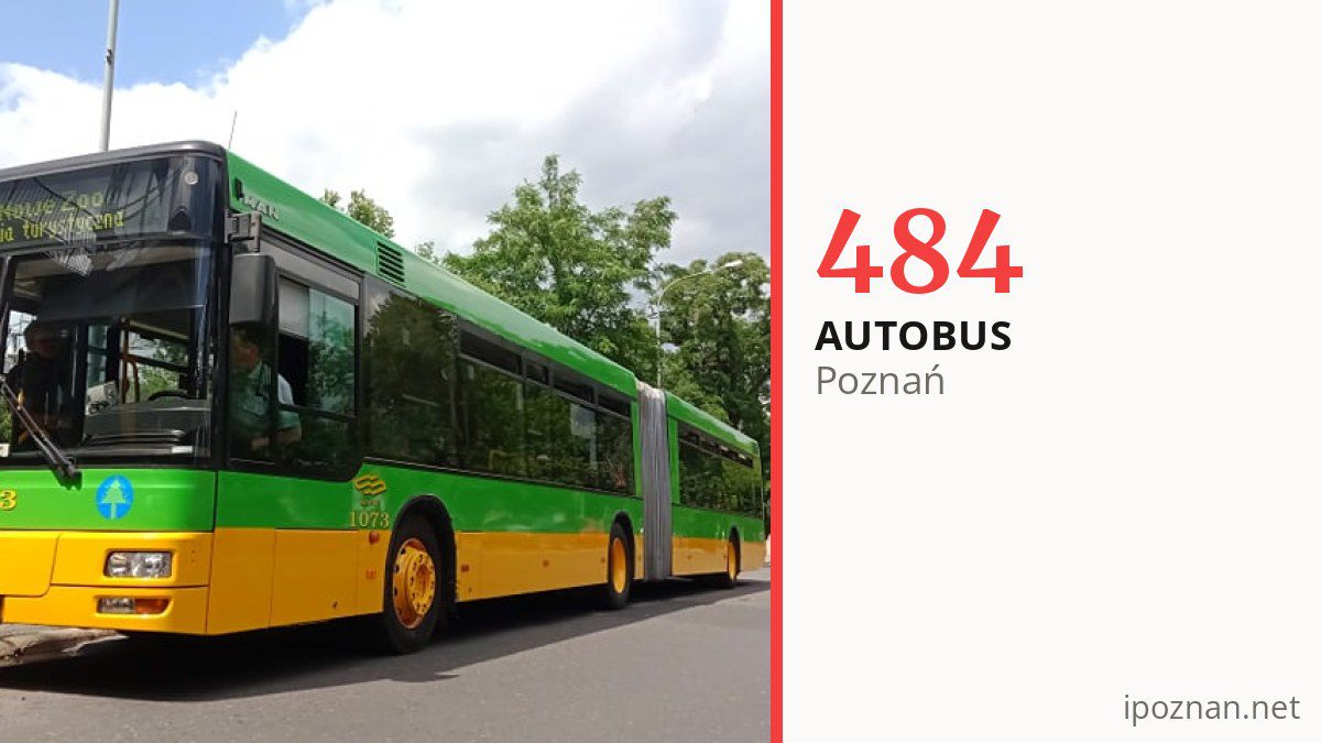 Autobus 484 w Poznaniu