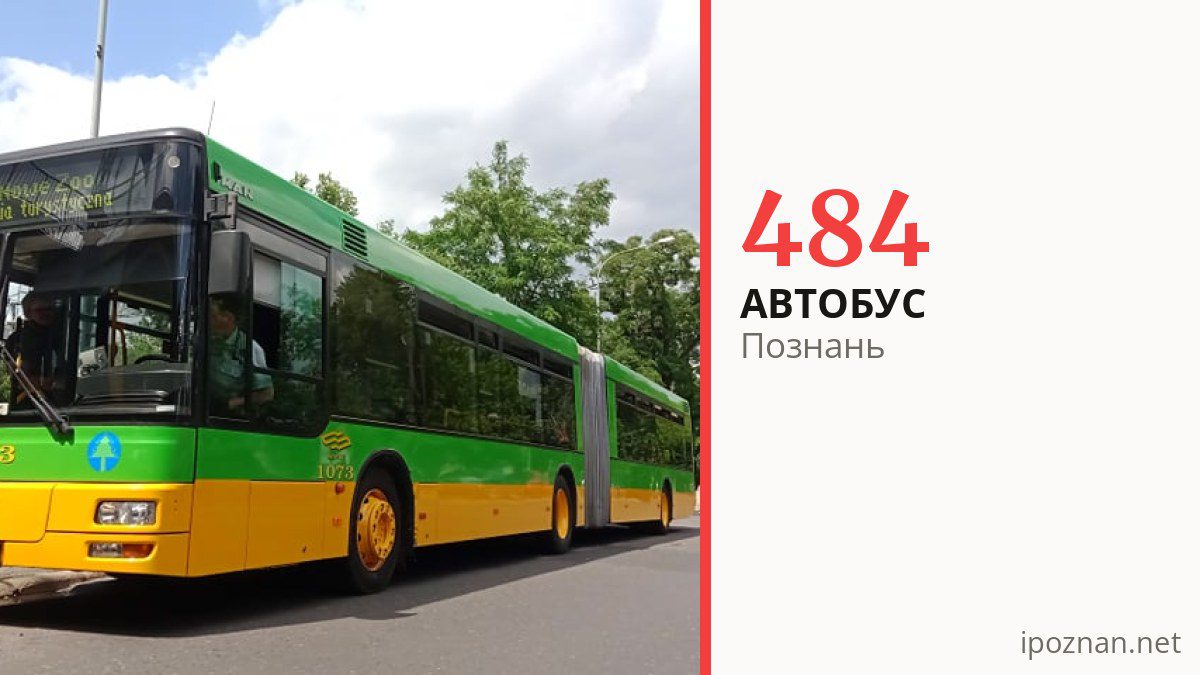 Автобус 484 у Познані