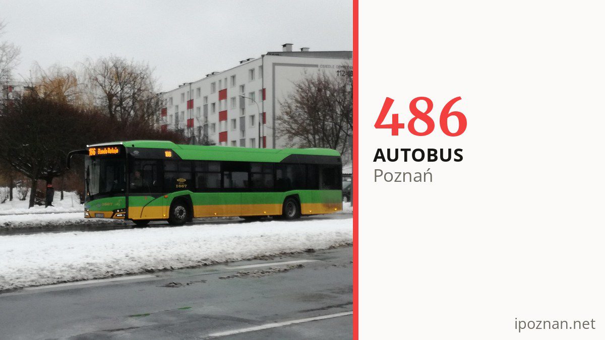 Autobus 486 w Poznaniu