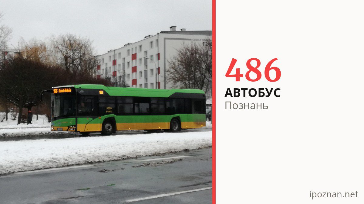 Автобус 486 у Познані