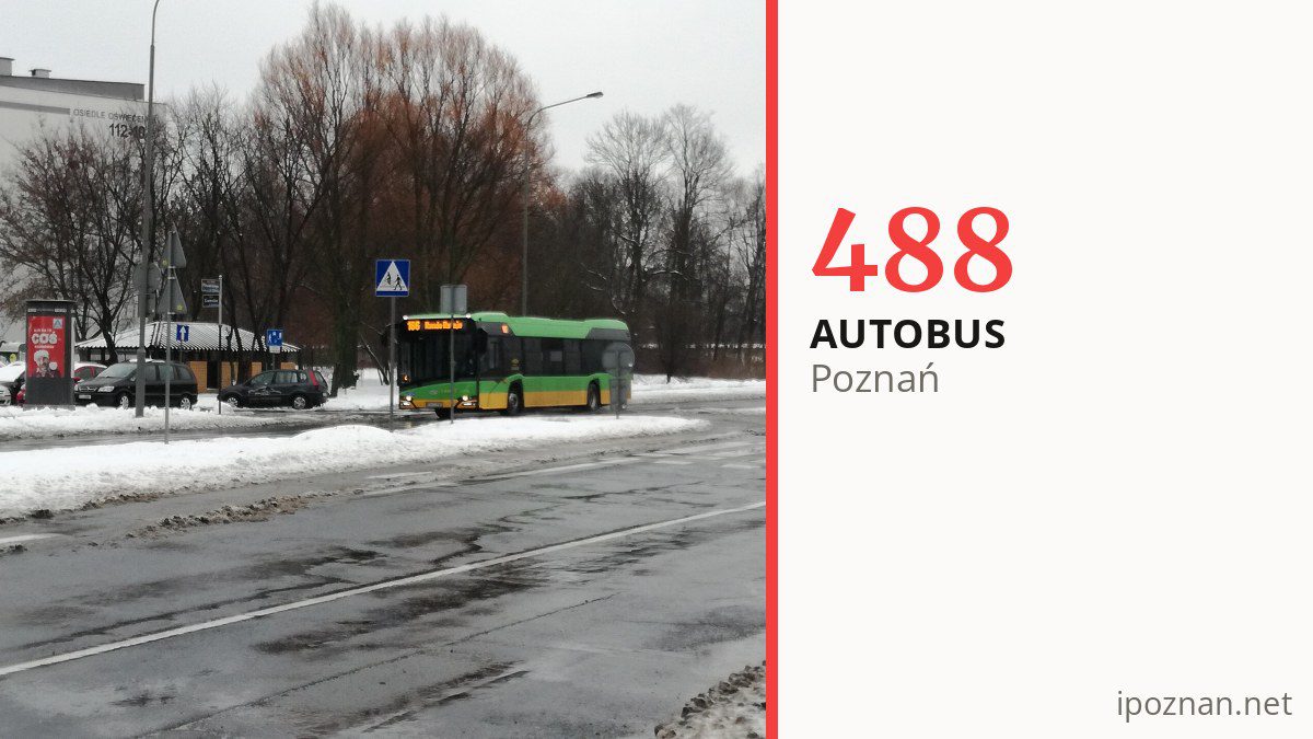 Autobus 488 w Poznaniu