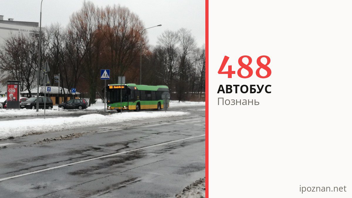 Автобус 488 в Познани