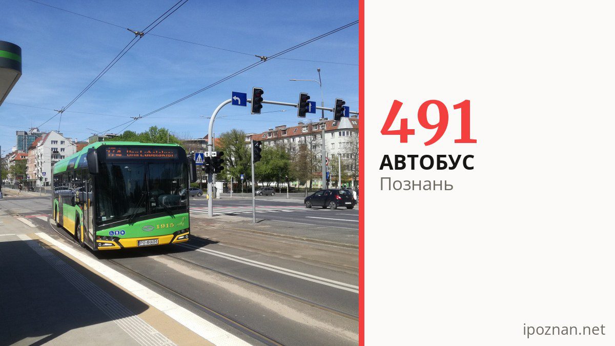 Автобус 491 у Познані