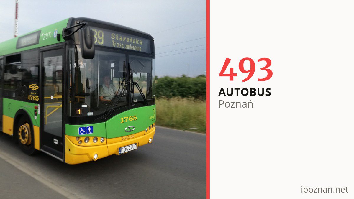 Autobus 493 w Poznaniu