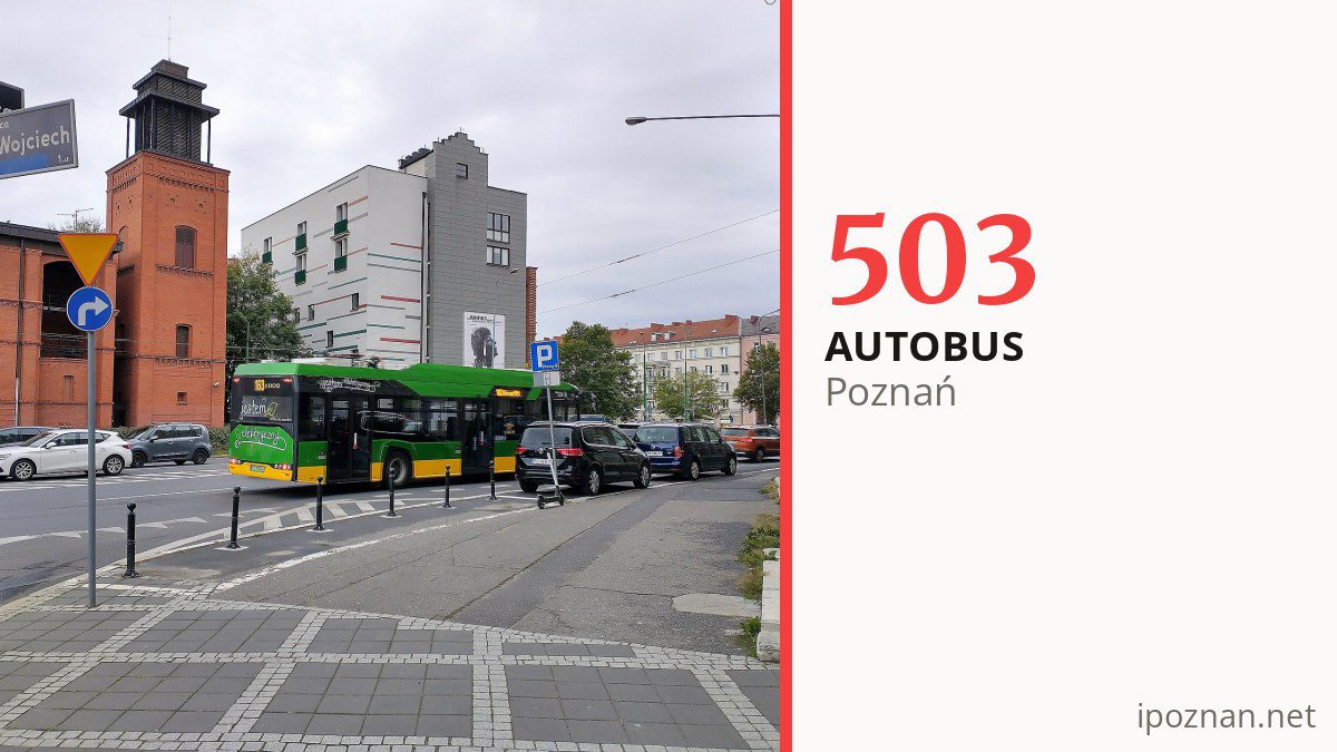 Autobus 503 w Poznaniu