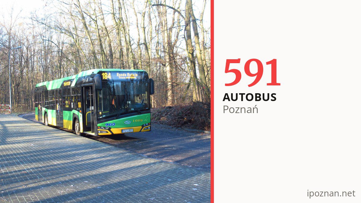 Autobus 591 w Poznaniu