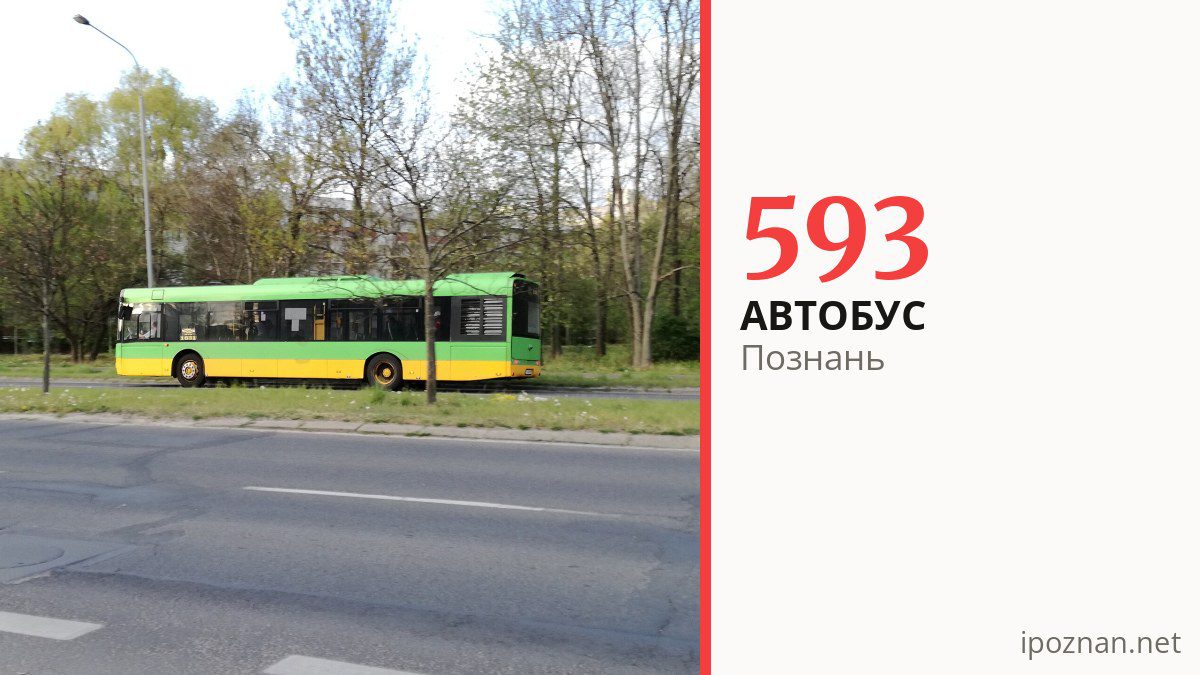 Автобус 593 у Познані