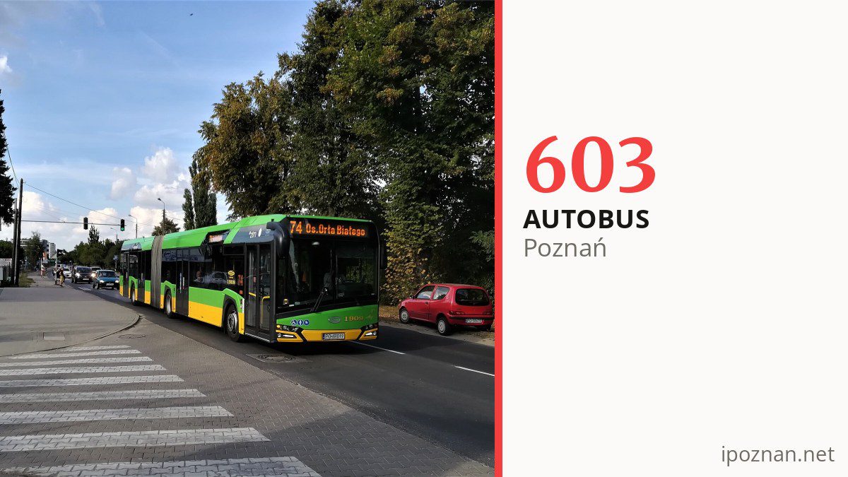 Autobus 603 w Poznaniu