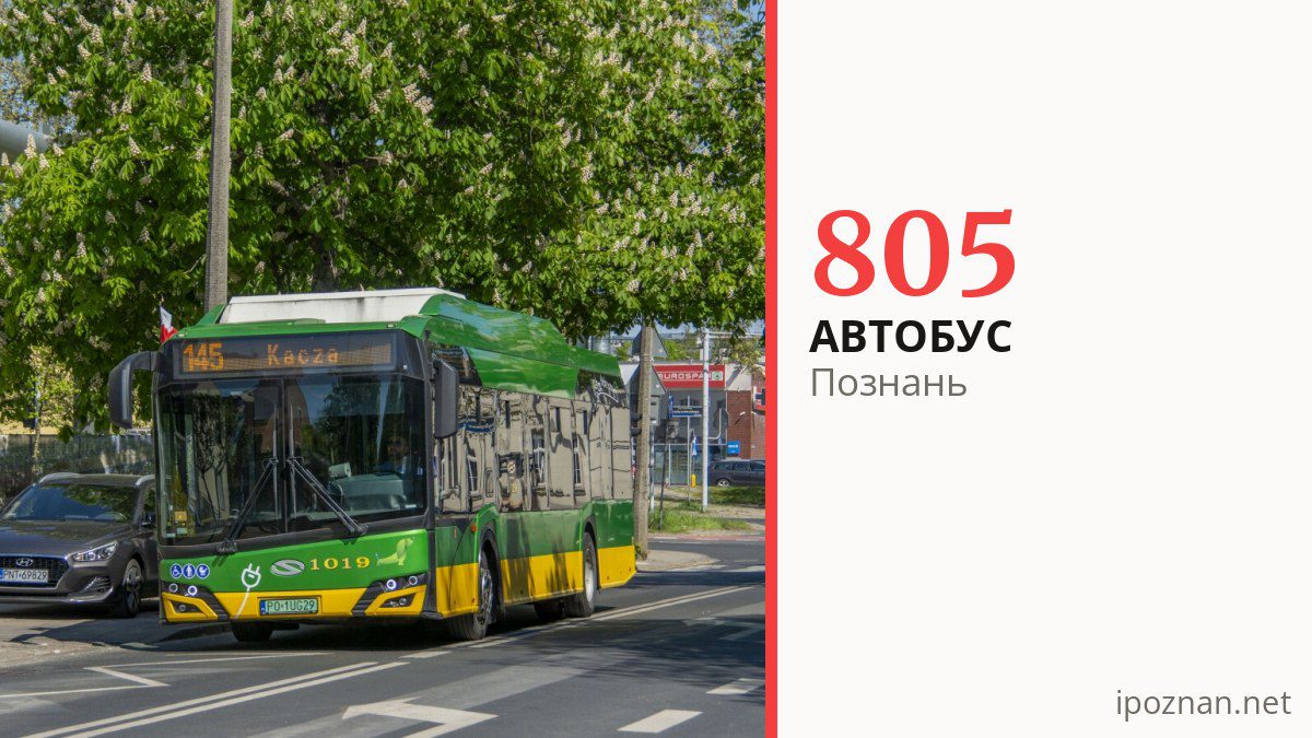 Автобус 805 у Познані