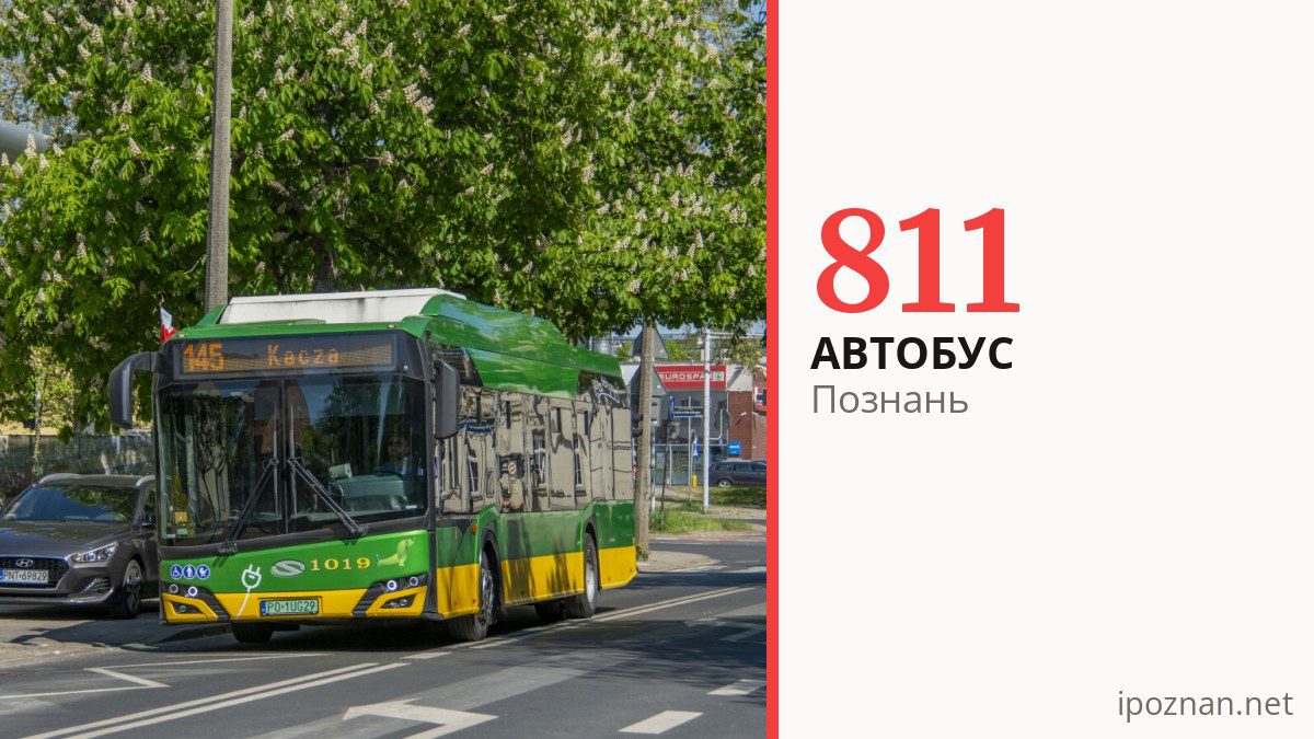 Автобус 811 в Познани