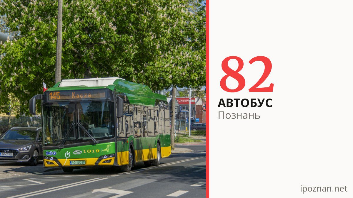 Автобус 82 у Познані