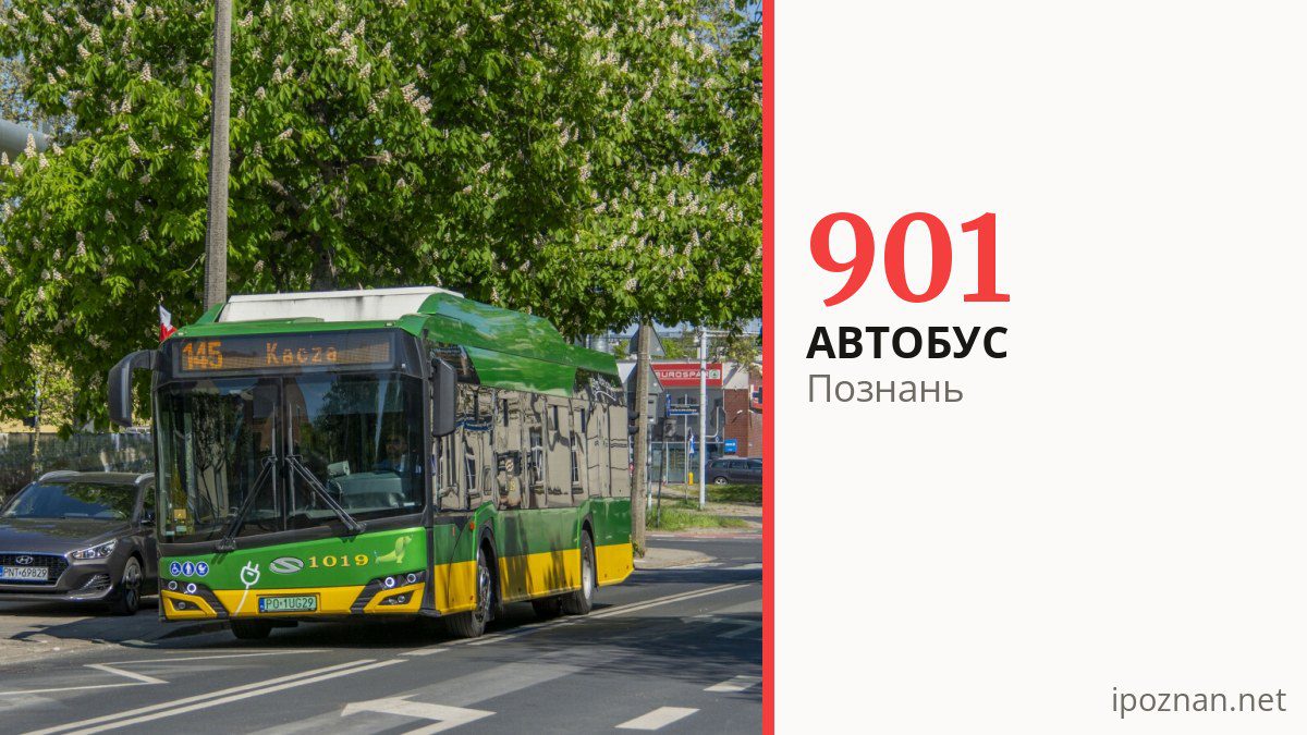 Автобус 901 у Познані