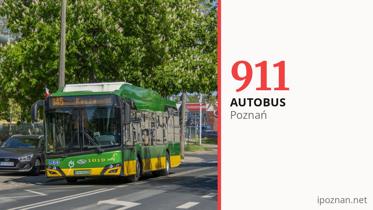 Autobus 911 w Poznaniu
