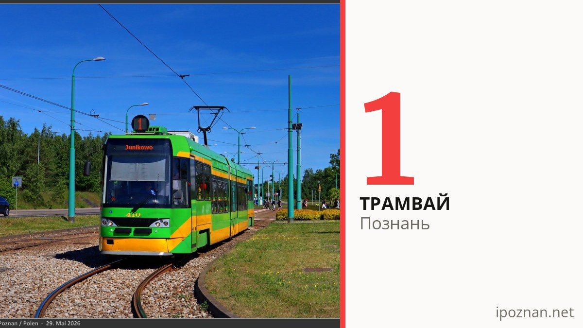 Трамвай 1 в Познани